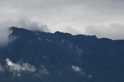 DSC_6247 (Large).JPG